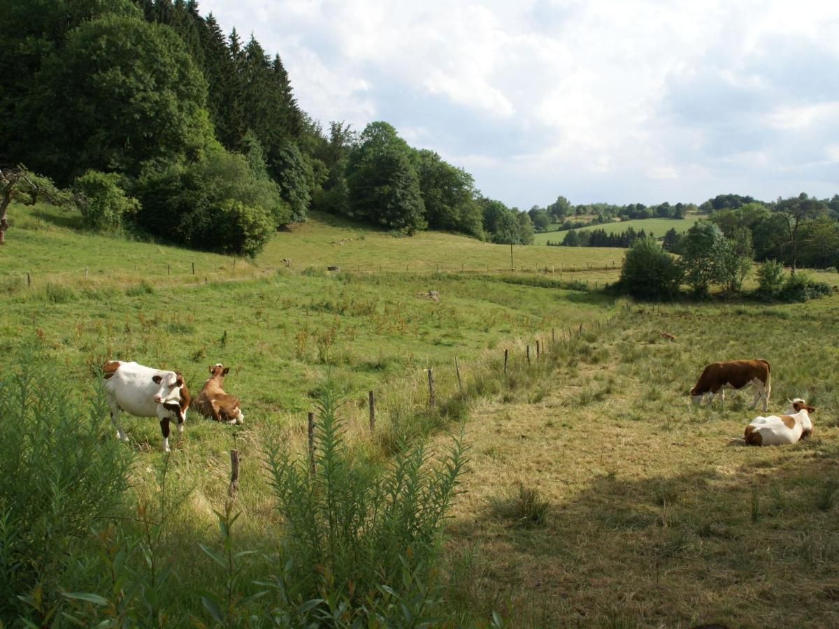 Spacious Holiday Home Near The Forest Esmoulieres Bilik gambar